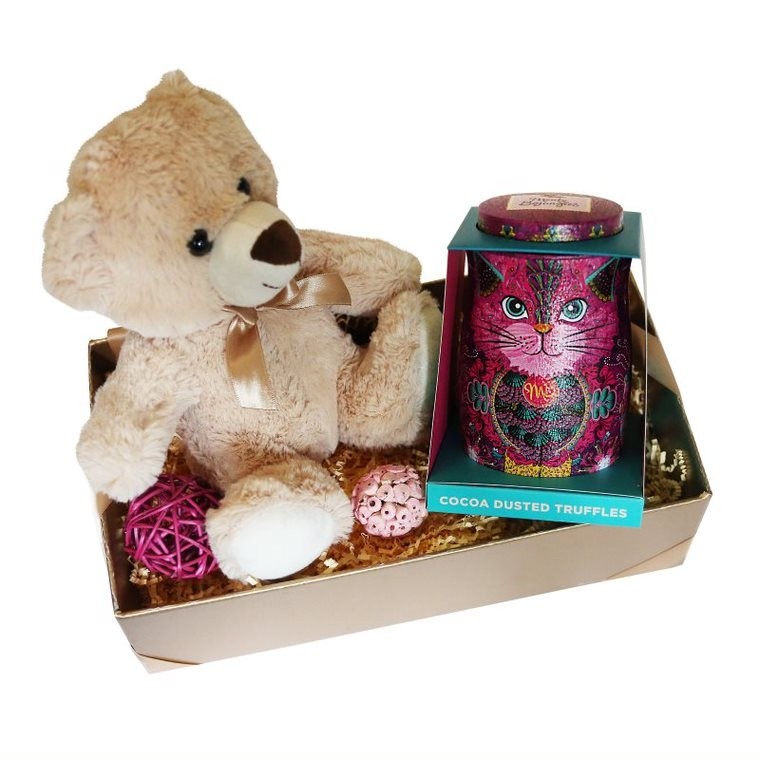 Cadou pentru copii cu trufe din ciocolata si ursulet din plus Pink cat and Teddy bear