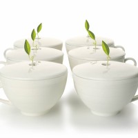 Set de 6 cani ceai Cafe Cup
