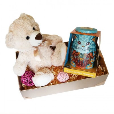 Cadou pentru copii cu trufe de ciocolata  si ursulet din plus Blue Cat and Teddy bear