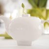 SET CU 6 CEAINICE SOLSTICE TEAPOTS - imagine 2