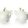 SET CU 6 CEAINICE SOLSTICE TEAPOTS